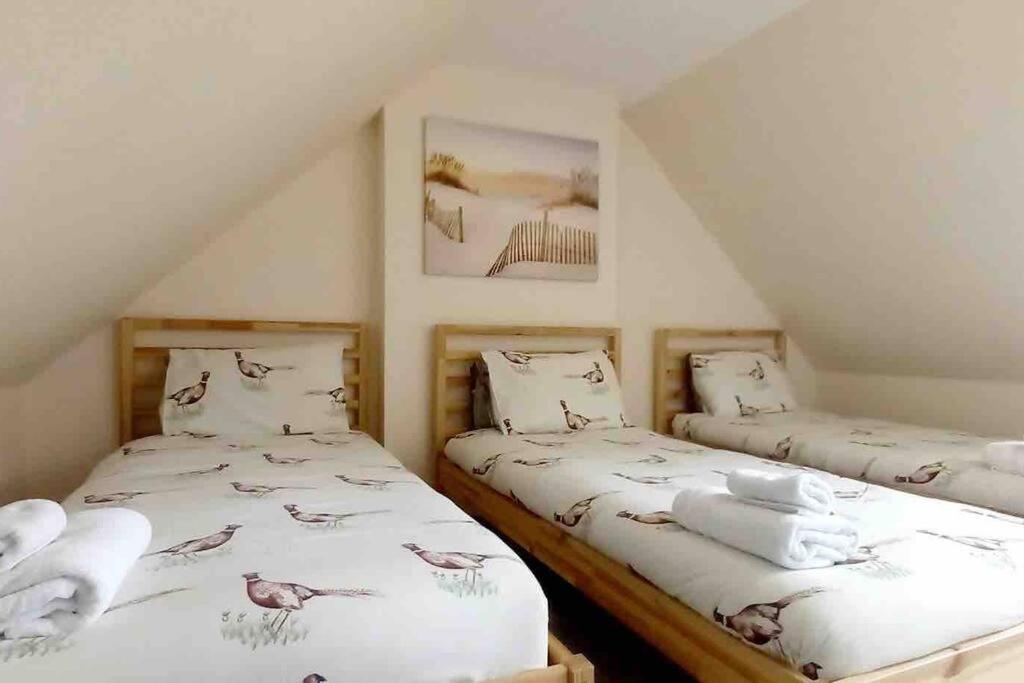 Fraser House - City Centre - Free Parking Villa Inverness Dış mekan fotoğraf